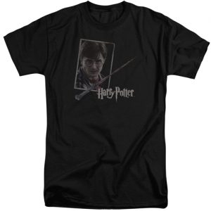 Harry Potter – Harrys Wand Portrait