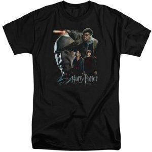 Harry Potter – Final Fight